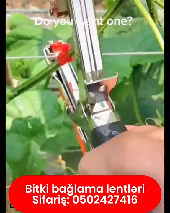 Bitki bağlama lentləri - Tenderyard