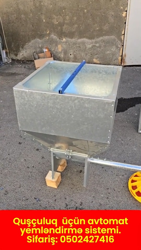 Automatic feeding system for poultry - Tenderyard
