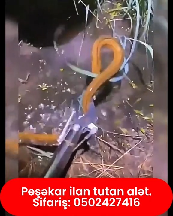 Peşəkar ilan tutma aləti - Tenderyard