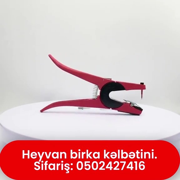 Heyvan birka kəlbətini - Tenderyard