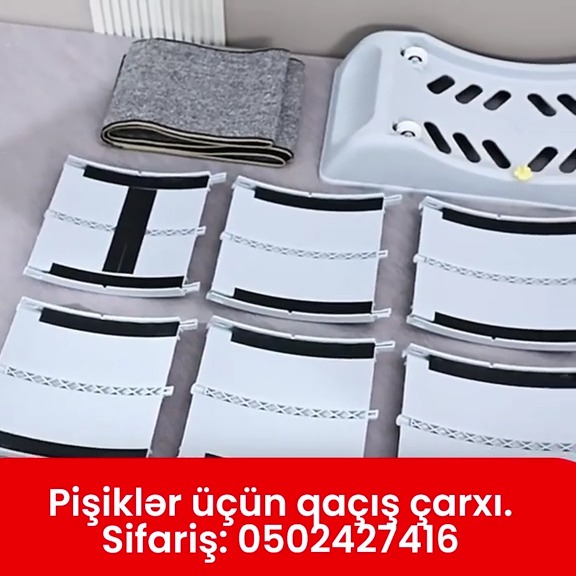 Pişiklər üçün qaçış çarxı - Tenderyard