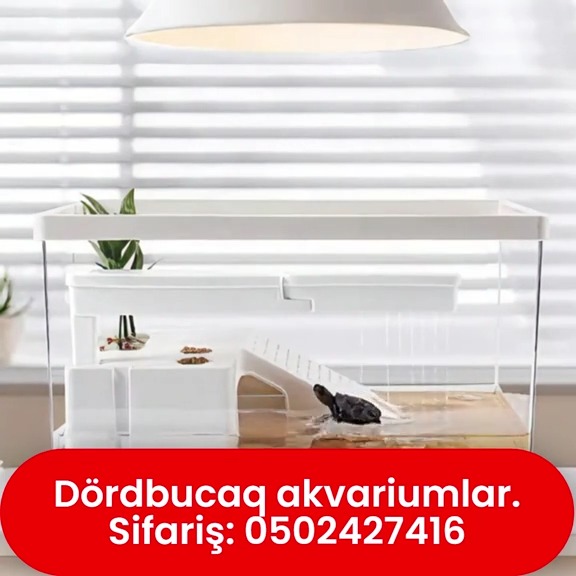 Dördbucaq akvariumlar - Tenderyard