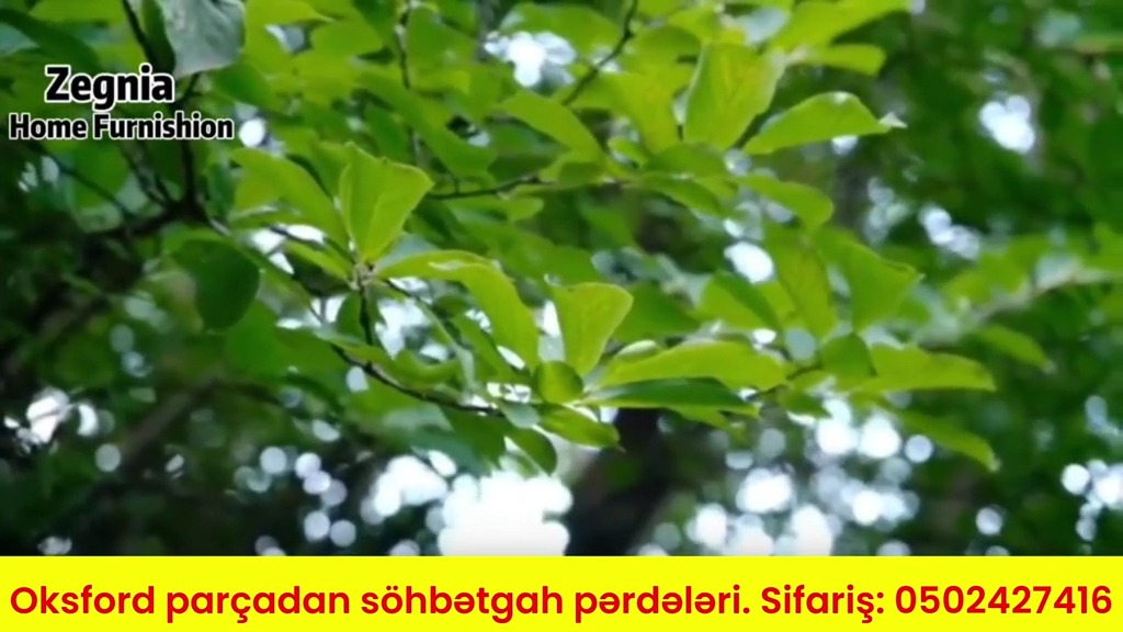 Qarışıq rəng pərdə, jalüz - Tenderyard