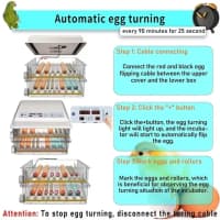 64 yumurtalıq avtomatik inkubator — şəkil 4