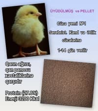 Kənd təsərrüfatı heyvanları üçün proteinli yemlər — şəkil 14