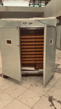 — şəkil 2
