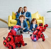 Pultla idarə olunan çoxfunksiyalı robot it — şəkil 2