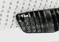 Radiator barmaqlığı Mercedes W211 GT — şəkil 4