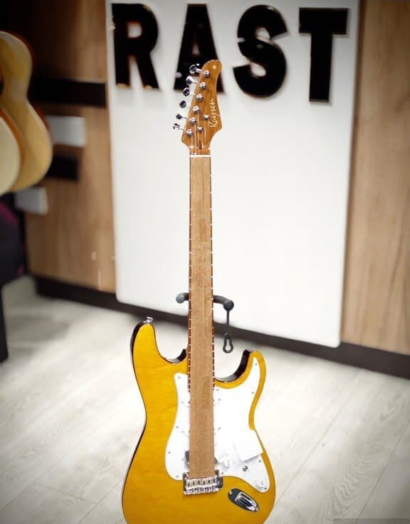 Elektrik gitara, 10 simli