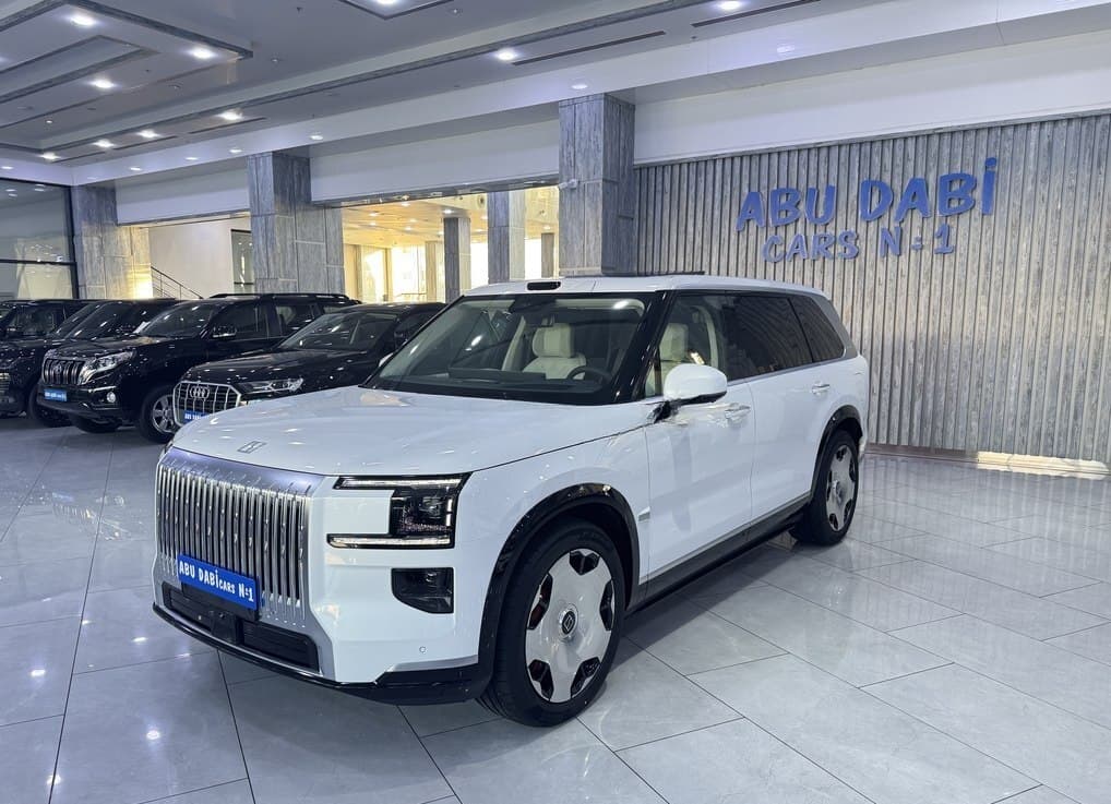 ZEEKR X, 2025 il, 0 km, 2000 L