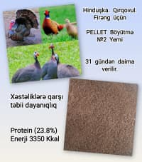 Kənd təsərrüfatı heyvanları üçün proteinli yemlər — şəkil 19