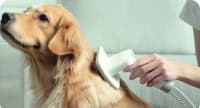 Petkit Pet Grooming Vacuum Kit 5-in-1 (LM4) — şəkil 4