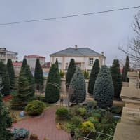 — şəkil 20