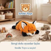 — şəkil 1