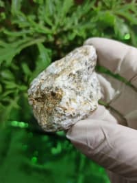 Petrified wood (daşlaşmış ağac) fosili + Kalsit — şəkil 3