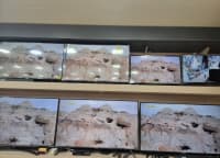 Ficher Televizor 24" LED — şəkil 16