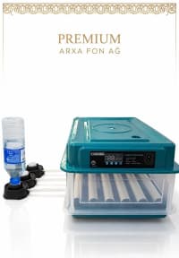 Avtomatik inkubator 30 yumurta tutumlu — şəkil 2