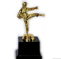 Qızılı Karate Heykəli Suveniri — şəkil 11