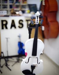 Skripka Tayste R-10 — şəkil 4