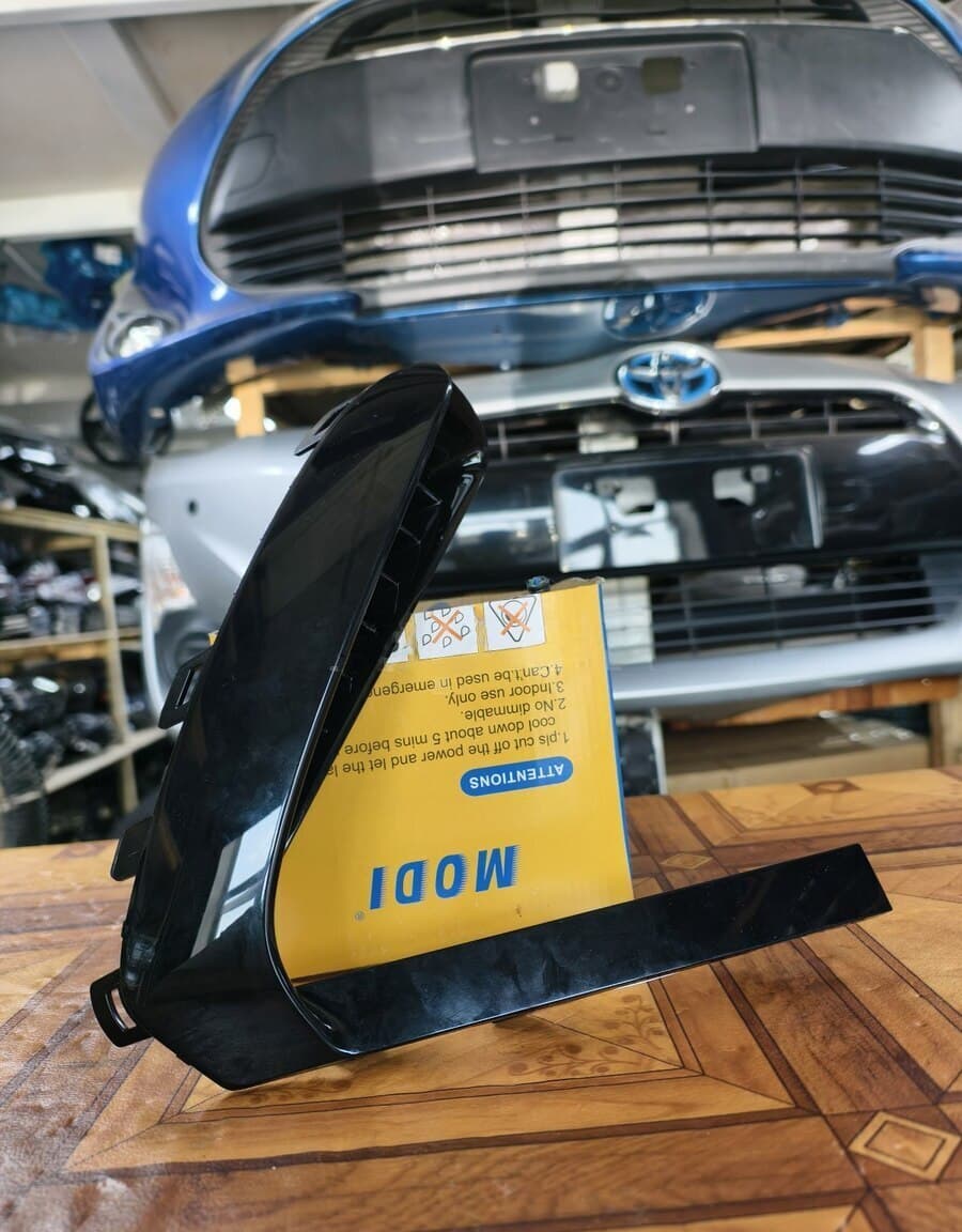 Hava pərdəsi BYD Seal 05