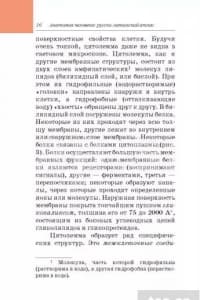 — şəkil 23