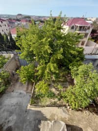 9 otaqlı villa 450 m² - satılır  — şəkil 16