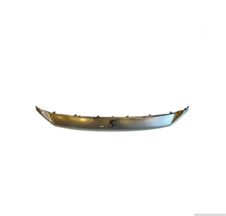 Ön bufer emblemi BYD Qin Plus 1.5L