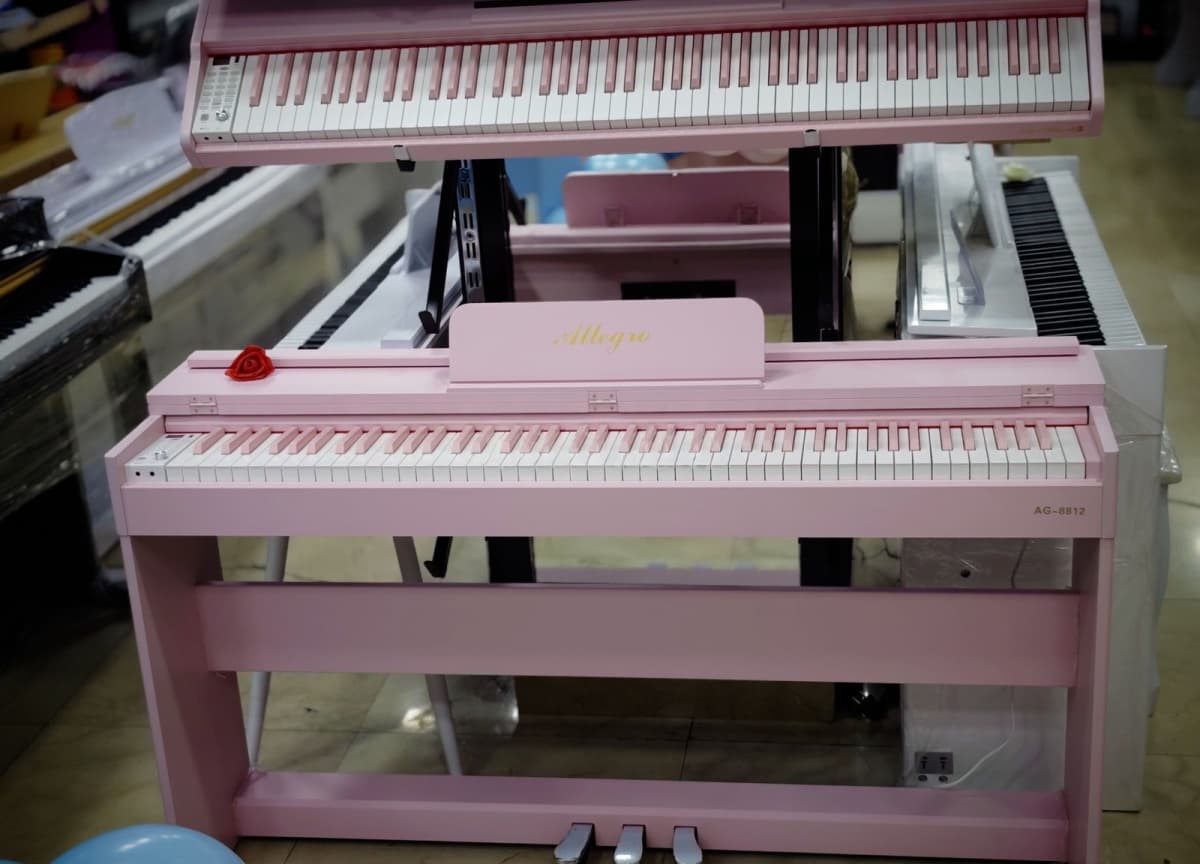Elektron piano Allegro 8812 Pink