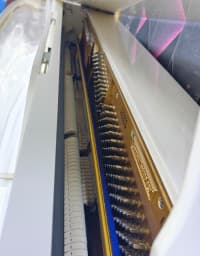 Akustik piano — şəkil 8