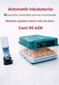 Avtomatik inkubator 30 yumurta tutumlu — şəkil 1