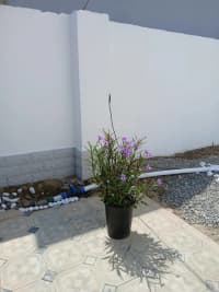 4 otaqlı həyət evi 127 m² satılır — şəkil 12