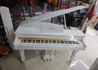 Elektron piano Royal Allegro RK-333 — şəkil 5