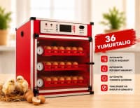 İnkubator 36-lıq avtomatik — şəkil 1