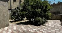 6 sot torpaq sahəsi satılır — şəkil 25