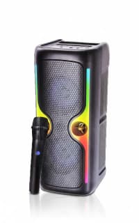 Portativ dinamik KTS-2033 — şəkil 2