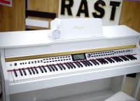 Elektron piano Allegro RK-500 — şəkil 6