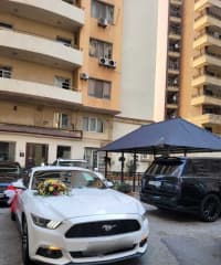 Bəy gəlin maşını Ford Mustang Coupe 2017 — şəkil 10