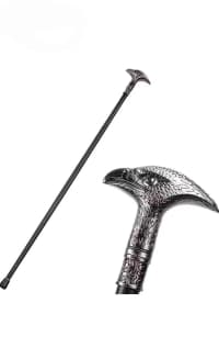 Qartal Başlıqlı Tibbi Əsa — şəkil 2