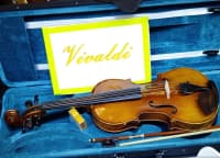 Skripka Vivaldi HV-4251 — şəkil 2