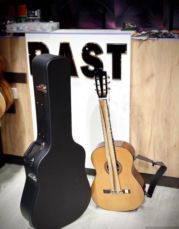 Gitara keysi Hard Case RG-A11