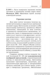 — şəkil 24