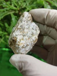 Petrified wood (daşlaşmış ağac) fosili + Kalsit — şəkil 4