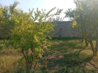 21 sot torpaq sahəsi satılır — şəkil 8