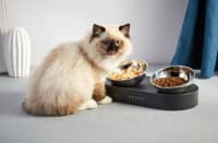 Petkit Fresh Nano Metal (P5201) İki Bölməli Yem Qabı — şəkil 3