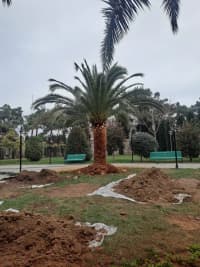 — şəkil 5