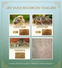 Kənd təsərrüfatı heyvanları üçün proteinli yemlər — şəkil 1