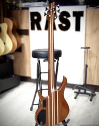 Bass gitara, 6 simli — şəkil 2