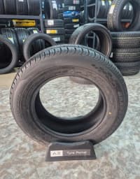 Dunlop PT3 235/65 R17 Yay Şini — şəkil 3