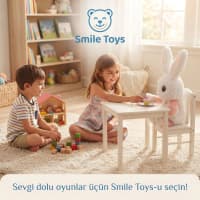  — şəkil 1