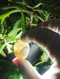 İşıq keçirən Təbii Mineral Daşlar 💎 — şəkil 2